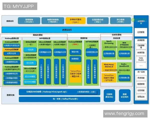 深入探讨V5在数据分析中的速度表现与优化策略分析