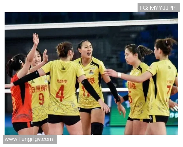 深圳排球队实力不容小觑排球个人能力排行榜揭晓第十名成就